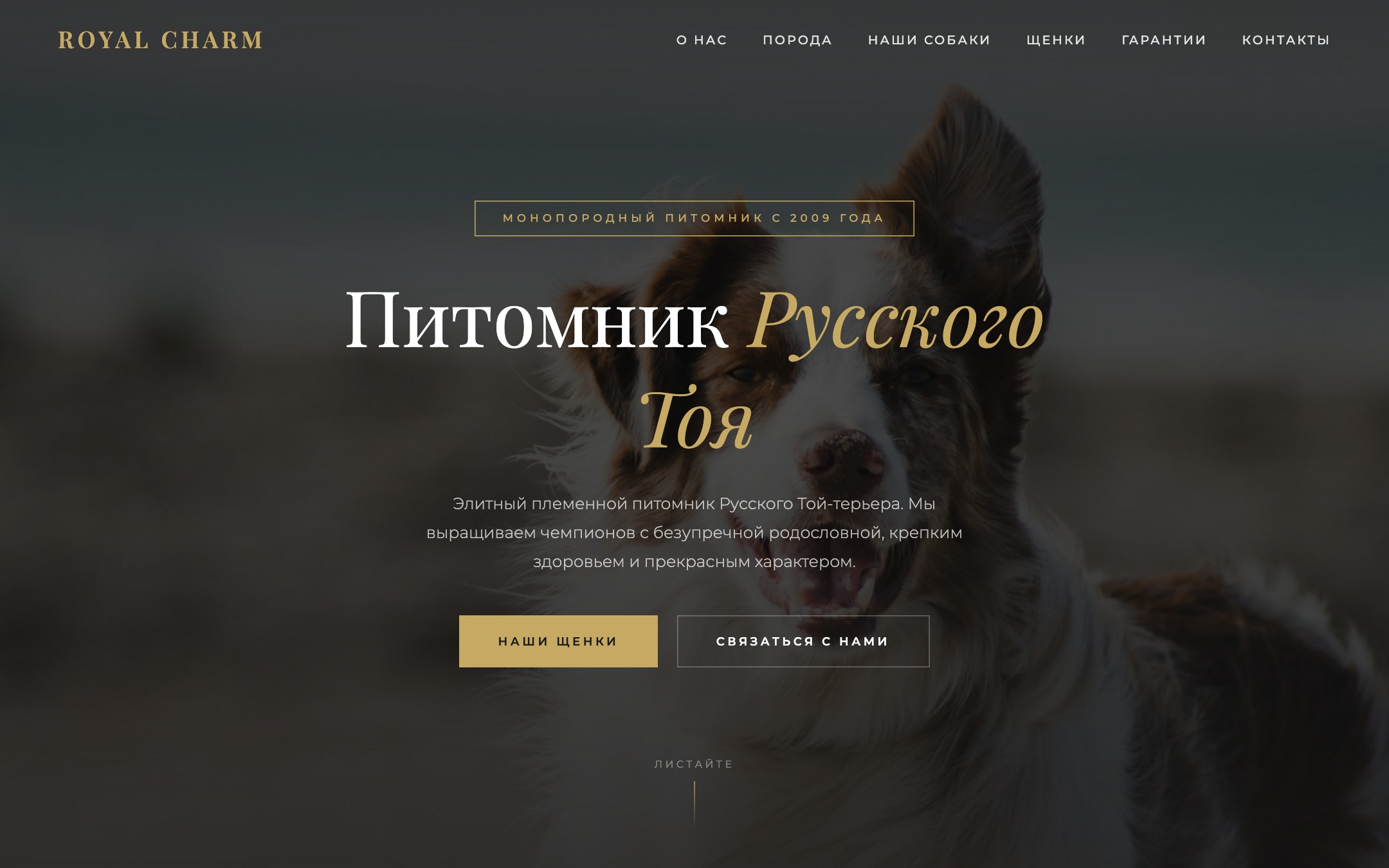 Кейс: Питомник собак